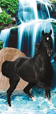 Badetuch-2417-Pferd-im-Wasserfall