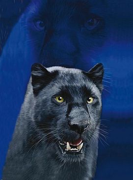 Badetuch-2427-Black-Panther-150x200