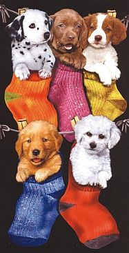 Badetuch-2438-Dogs-in-Socks