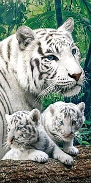 Badetuch-2464-White-Tiger-and-Babies