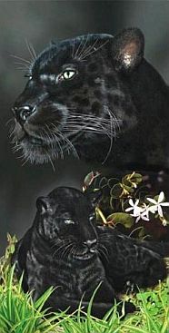 Badetuch-2477-Panther-mit-Kids