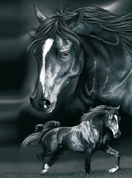 Badetuch-2552-Black-Beauty-big-140x180