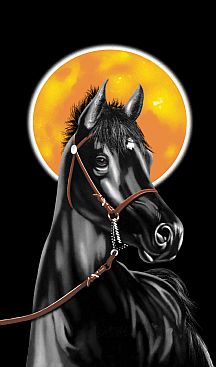 Badetuch-Black-Horse