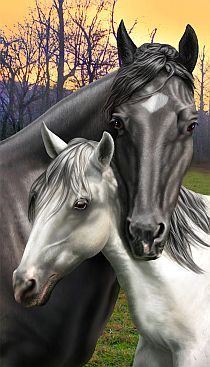 Badetuch-Pferd-Black-and-White