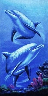Delfine-100-180