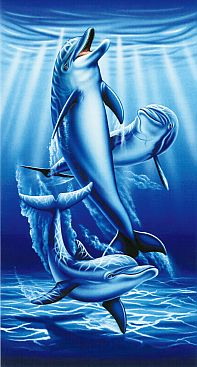 Delfine-Dance-2500-3