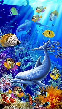 Dolphins-and-Colored-Fishes-119