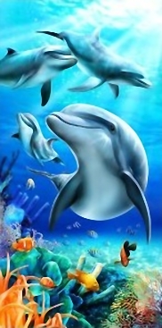 Lovely-Dolphins-Liebe-Delfine