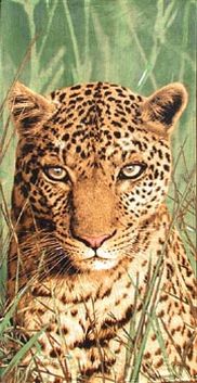 Neu-Grass-Leopard-1
