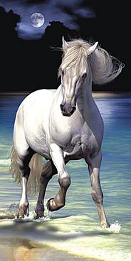 Pferd-Mond-Moon-Horse-2505-4