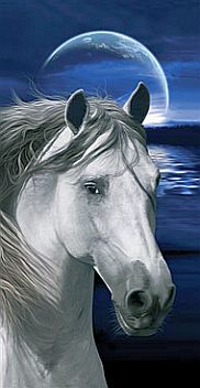 Pferd-und-Mond-Horse-and-Moon-2418