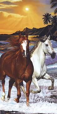 Pferde-im-Sonnenaufgang-2505-3