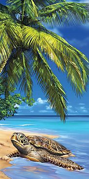 Schildkroete-Lovely-Turtle-2503