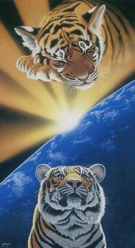 Schimmel-dawn-of-life-Schim23