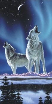 Schimmel-earth-song-Schim21