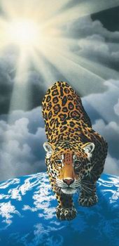 Schimmel-heaven-and-earth-Schim01