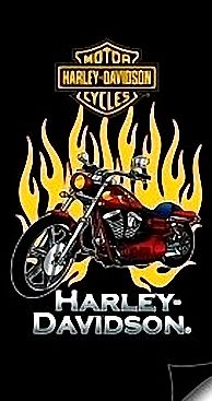 Harley Davidson Bike